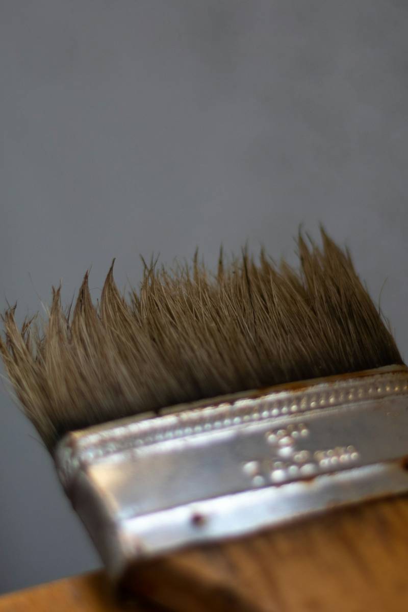 A close view of the bristles of a worn paint brush. Reference photograph.